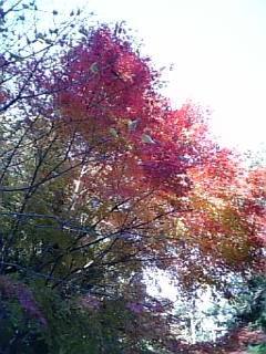 061125_140007.jpg