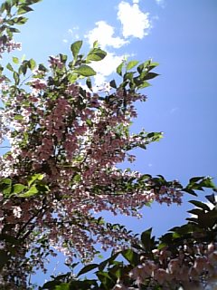 070520_110500.jpg