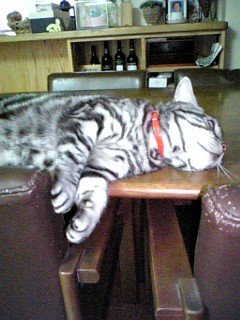 070527_220639.jpg
