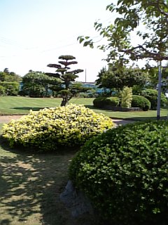 070520_142014.jpg
