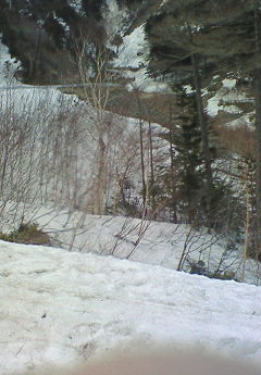 img20070430_4.jpg