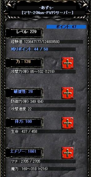 img20051229.jpg