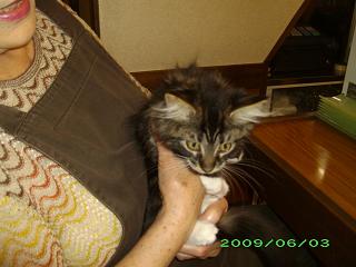 img20090603.jpg