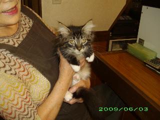 img20090603_1.jpg