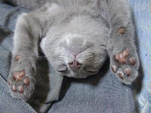 img20070924.jpg