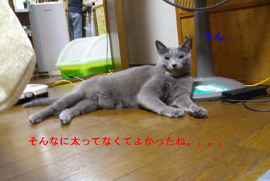 img20090626_2.jpg