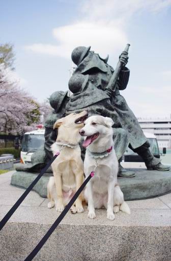 ラファ&ソフィー６