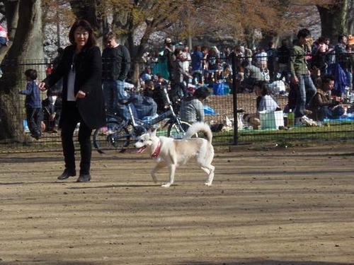 わんズ⑫