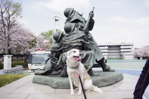 ソフィー１