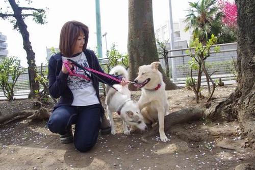 ラファ&ソフィー