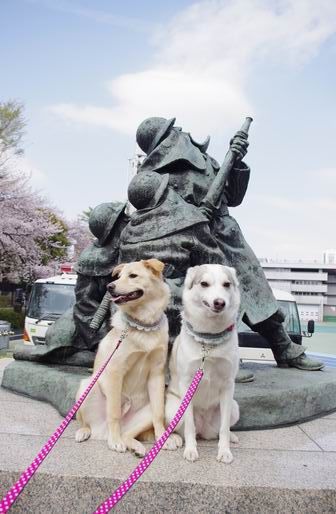 ラファ&ソフィー３