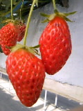 img20090321.jpg