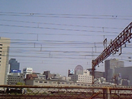 ura_umeda.jpg