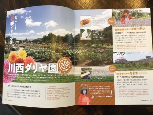 bd2b7162-s