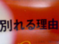 20080213304.jpg