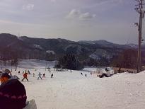 20080211302.jpg