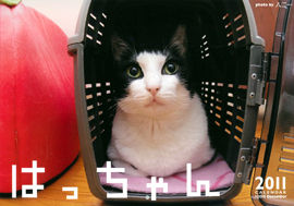 hatchan2011a