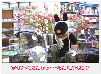 20081021212857_44752463.jpg