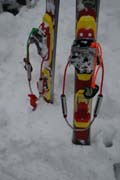 ski.jpg