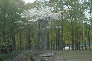 img20060527_2.jpg