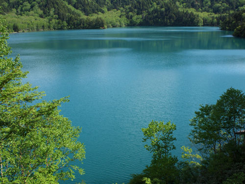 P6251682