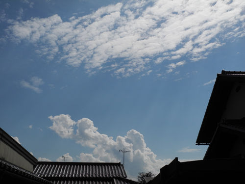 DSCN4050