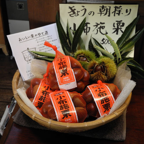 DSCN4053