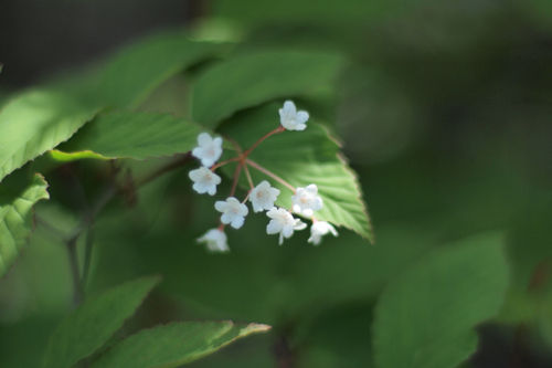 P5130910