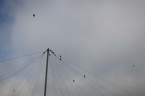 IMG_0086