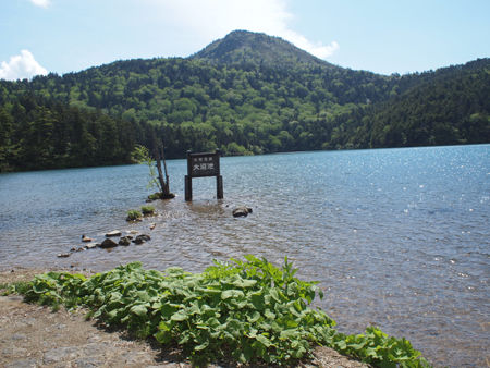 P6251667