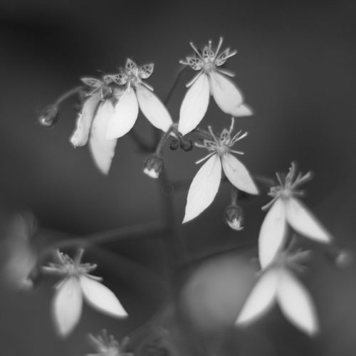 P6061440