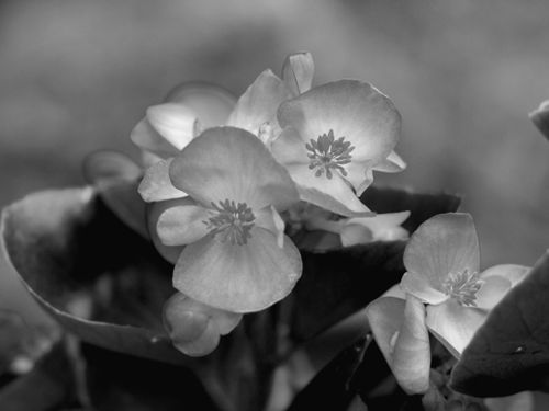 P5201080