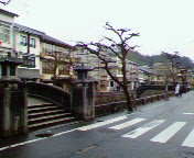 NEC_0363.jpg
