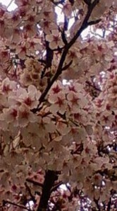 20120303165414