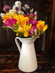 IMG_0607