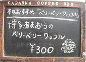 img_4133_1.jpg