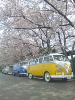 eca02f5d.jpg