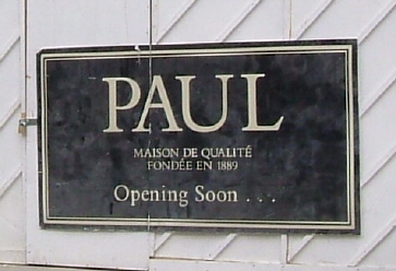 paul1.jpg