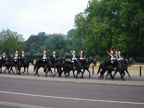 pic6.jpg
