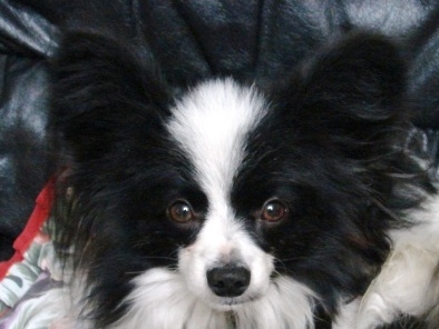 2005.12.31-2_1.jpg