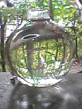 041027_1505001.jpg