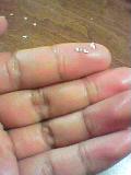 050329_2224001.jpg