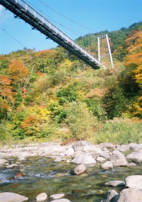 dh000024000.jpg