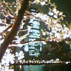 20050407_2028_000.jpg