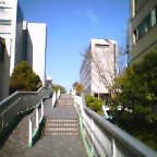 20050413_0800_000.jpg