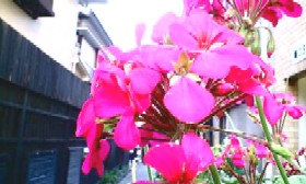 20070602163659.jpg.jpg