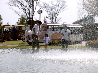 144.jpg