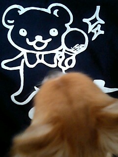 img20081231_1.jpg