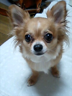 img20090527.jpg