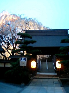 img20080329_2.jpg